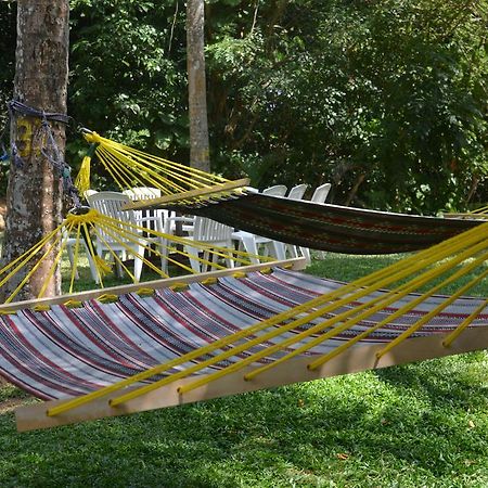 Jungle Beach Hostel Unawatuna Exterior foto